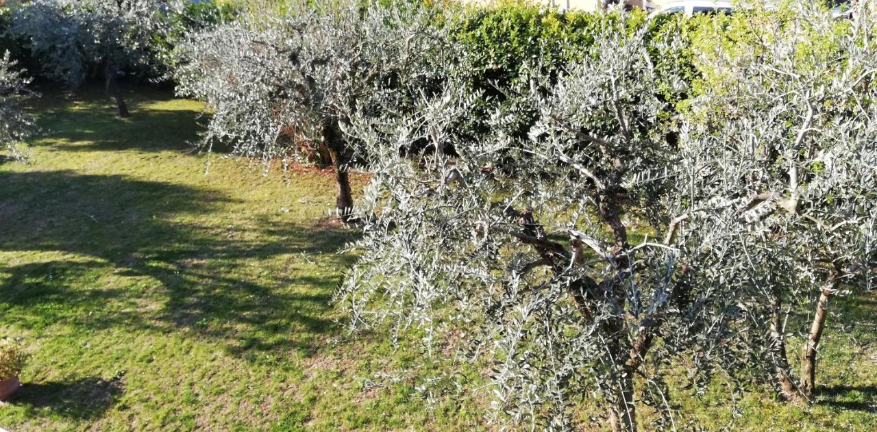 ガルダ Il Melograno Bed & Breakfast エクステリア 写真